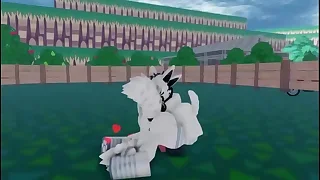 Furry Gay Anal 1